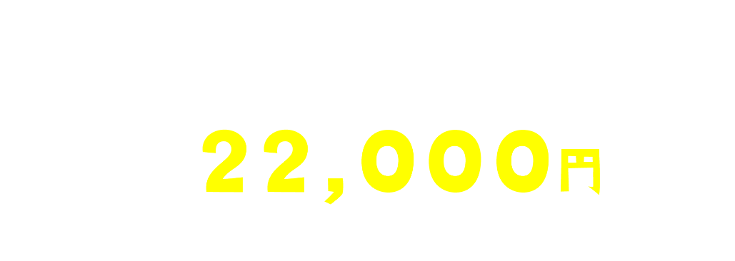 ⽉々11,000円〜（税込）
